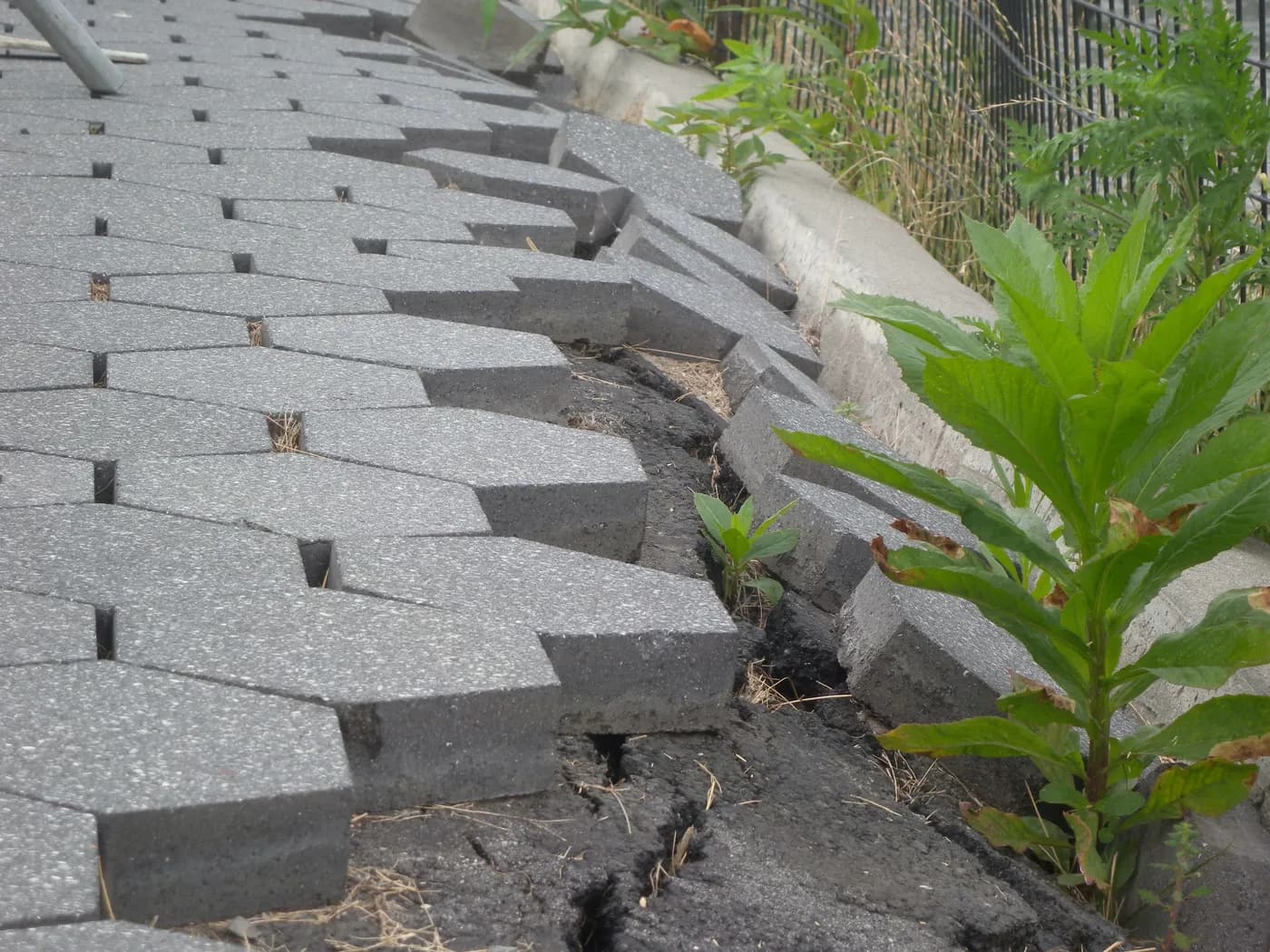 A paver field that has spread and slid apart, with the outer courses tipping off a washed-out base — the failure that happens without compaction and edge restraint